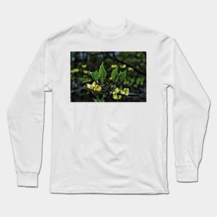 Rising Up Long Sleeve T-Shirt